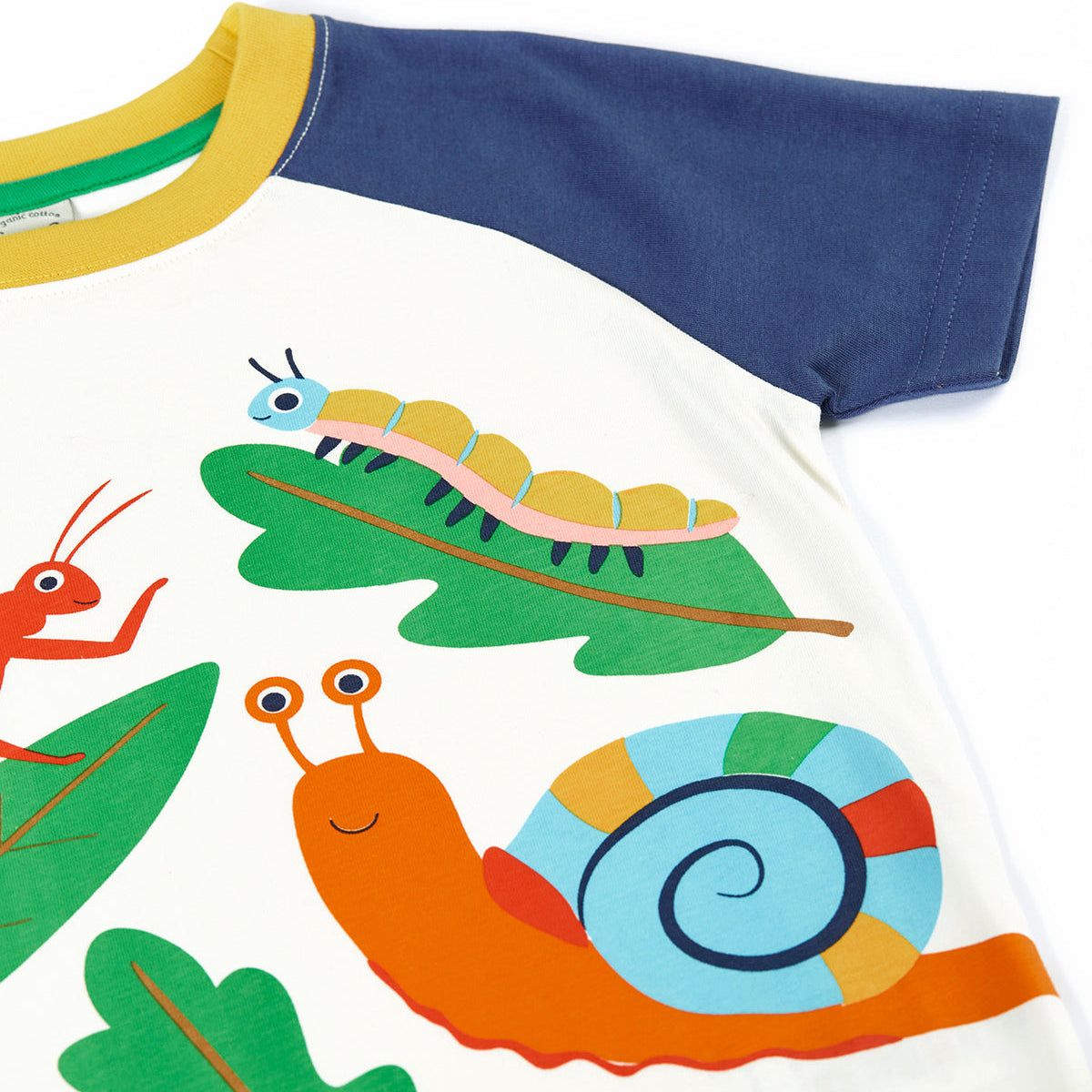Organic Cotton Short Sleeve Raglan T-Shirt - Bugs